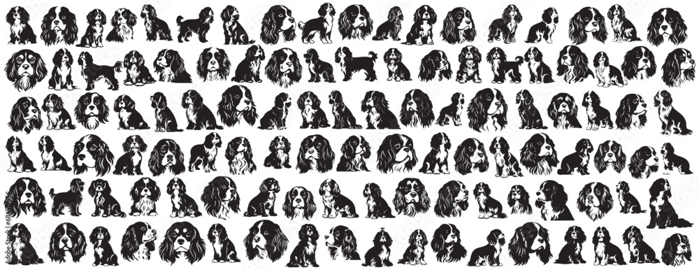 Cavalier dog silhouette, dog t-shirt arts silhouette Cavalier dog silhouette, dog t-shirt arts silhouette