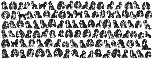 Cavalier dog silhouette, dog t-shirt arts silhouette