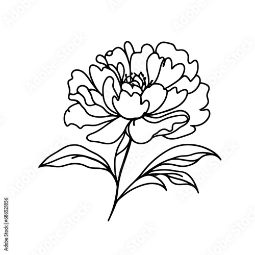 Hand drawn peony flower outline vector floral illustration. Botanical ink pen drawing for modern decor  cards  logo.