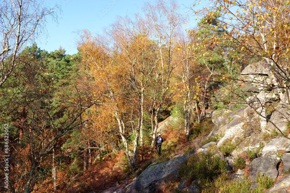 Denecourt blue path number 4 in the Saint-Germain rock Denecourt blue path number 4 in the Saint-Germain rock