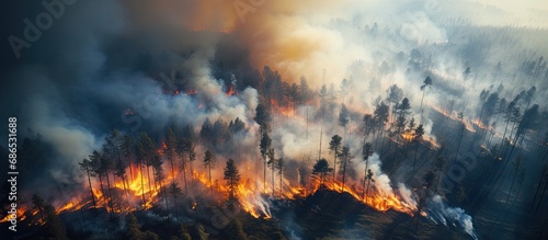 Bird s-eye view of forest wildfire.