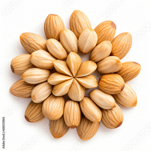 Pine nuts Clipart Isolated on white background 