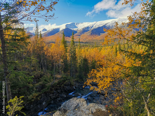 Autumn Arctic landscape in the Khibiny mountains. Kirovsk, Kola Peninsula, Polar Russia. Autumn colorful forest in the Arctic, Mountain hikes and adventures.