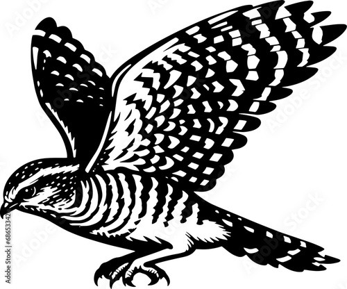 Nightjar icon 1