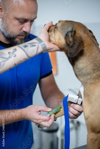 Veterinarians giving vaccine to dog patient in an animal hospital