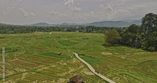 Matale Sri Lanka Aerial v5 low drone flyover vast ploughed farmlands along AB26 Road capturing nestled residential suburbs and scenic hillside mountain views - Shot with Mavic 3 Cine - April 2023