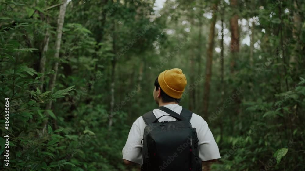 A man backpacker traveling alone in forest wild. Young man hiking trip through the green forest with backpacks. Asian man traveler explore while walking in green forest. Travel and backpack concept