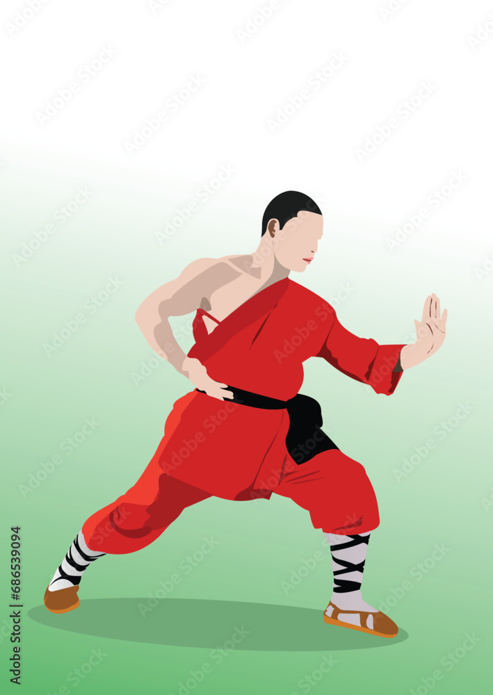 Oriental combat sports. Kung Fu. Colored 3d vector illustration
