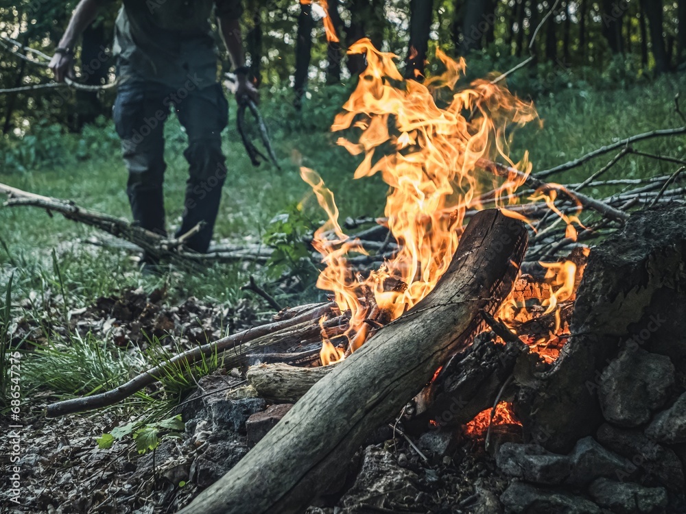 Man hands feeding putting logs firewood on a forest campfire, no face, camping Man hands feeding putting logs firewood on a forest campfire, no face, camping