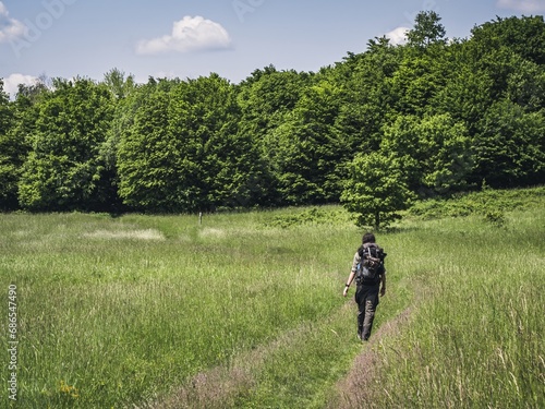 One male backpacking hiking man walking into a forest © MatyasSipos