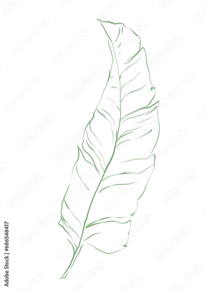 Fototapeta premium Line art tropical plant. Palm leaf