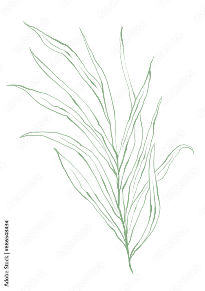 Line art tropical plant. Green palm leaf Line art tropical plant. Green palm leaf