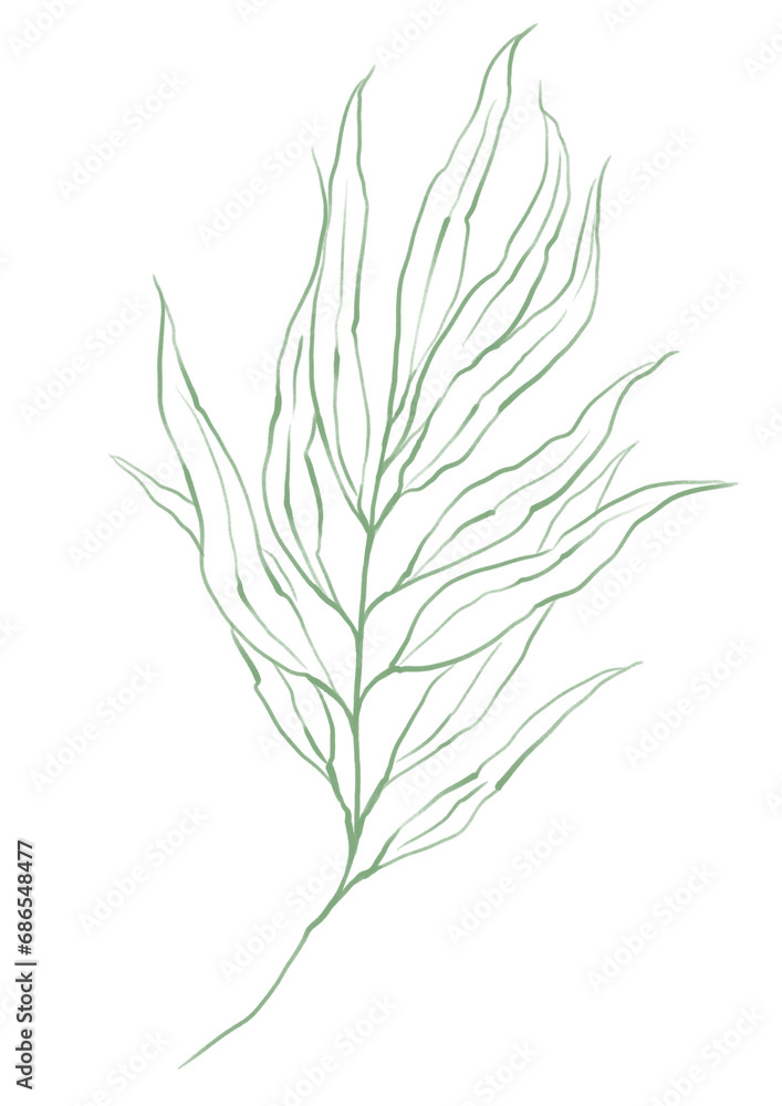 Fototapeta premium Line art tropical plant. Green palm leaf