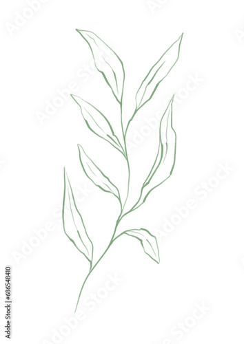 Line art tropical plant. Green leaves