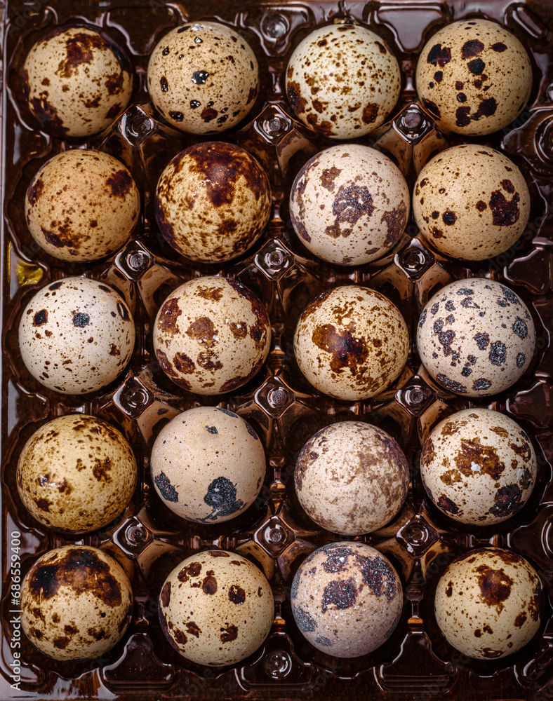 Raw quail eggs in a plastic box on a dark concrete background Raw quail eggs in a plastic box on a dark concrete background