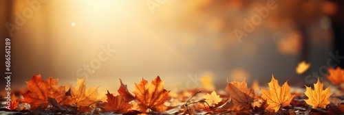 Falling Autumn Maple Leaves Natural Background   Banner Image For Website  Background  Desktop Wallpaper