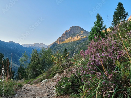 En route vers Migouélou - Hautes-Pyrénees (65)