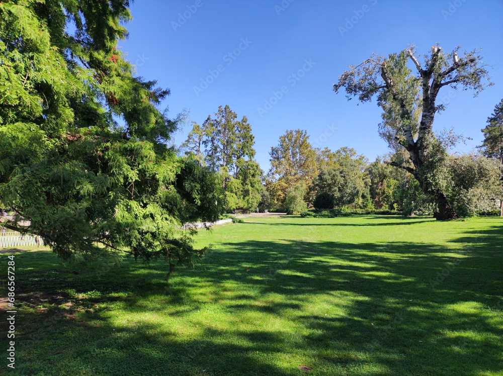 Naklejka premium Danube park in Novi Sad in bright sunny day