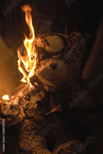 Tableau sur toile a Bear is Burning