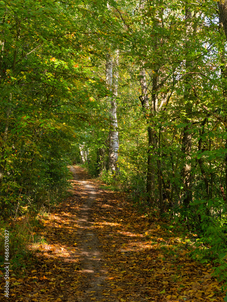 Herbstwald und Senftenhofsee im Kapitelwald, einem Waldgebiet zwischen Grafenrheinfeld und Schwebheim, Landkreis Schweinfurt, Unterfranken, Franken, Bayern, Deutschland Herbstwald und Senftenhofsee im Kapitelwald, einem Waldgebiet zwischen Grafenrheinfeld und Schwebheim, Landkreis Schweinfurt, Unterfranken, Franken, Bayern, Deutschland