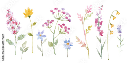 Modern watercolor floral vector set. Collage contemporary set of elements. Hand drawn realistic flowers.