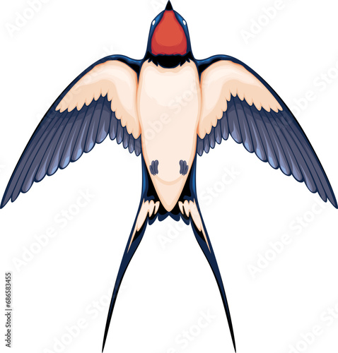 Swallow top view, vector isolated animal.