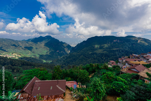 Wallpaper Mural natural background of many species of plants that are laid out in the park, for the propagation of the species and to provide shade for those who stop by while traveling to study the ecology. Torontodigital.ca