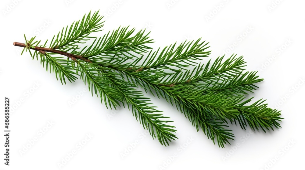 Spruce Branch Isolated on the White Background, Christmas Event
Spruce Branch Isolated on the White Background, Christmas Event