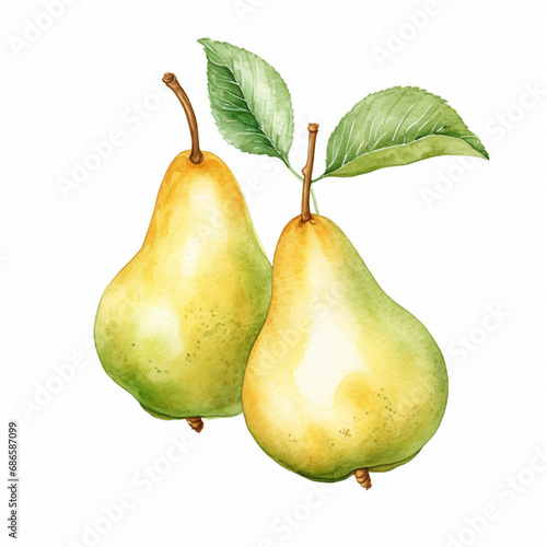 Pear with Leaf. and Blossom. Watercolour Illustration of Fresh Ripe Pears Isolated on White.
