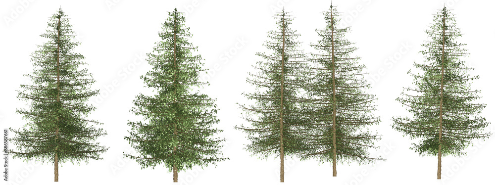 Set of 4 branches, pine trees separated from the background with high quality graphic effects, suitable as graphic design materials, landscape decoration, and printing products - obrazy, fototapety, plakaty 