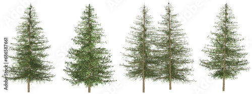 Set of 4 branches, pine trees separated from the background with high quality graphic effects, suitable as graphic design materials, landscape decoration, and printing products