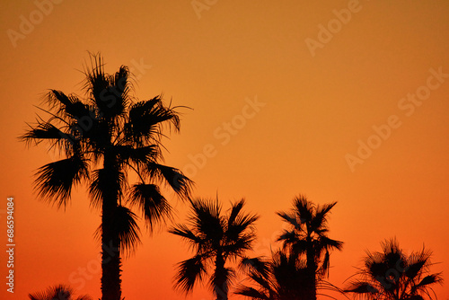 Obraz na płótnie palm trees on the sea beach w salonie