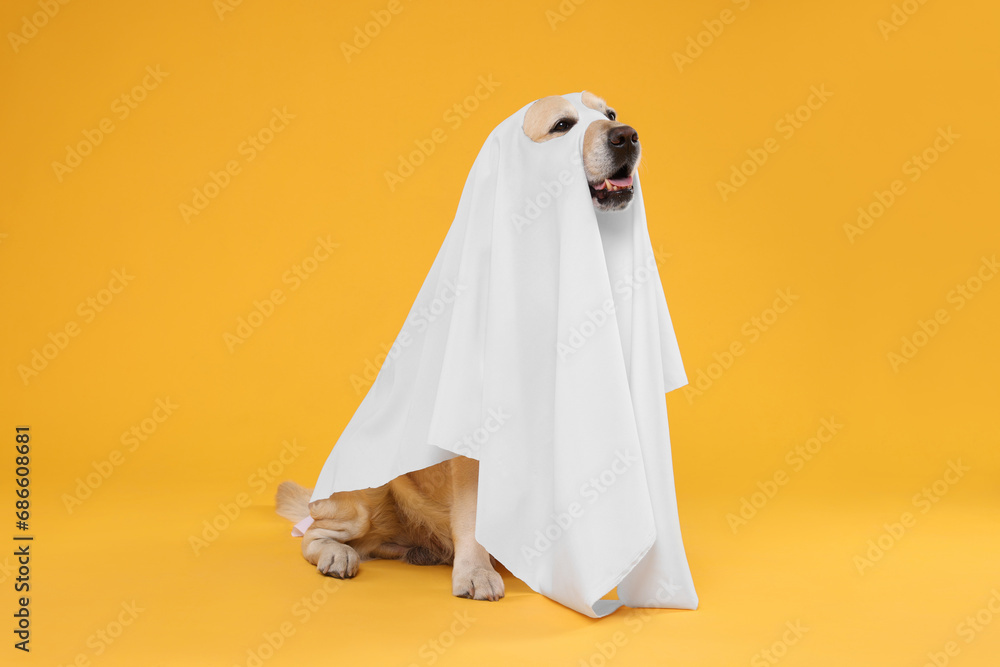 Cute Labrador Retriever dog wearing ghost costume on orange background. Halloween celebration
