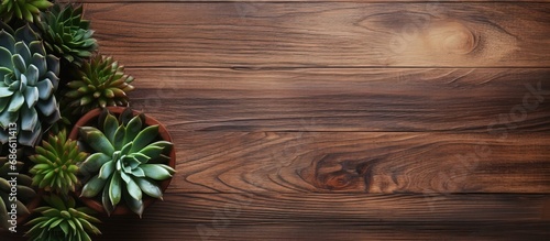 Succulent plants placed on a wooden surface