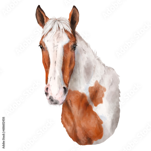 Free tobiano horse head. Equine watercolor portrait isolated on white background photo