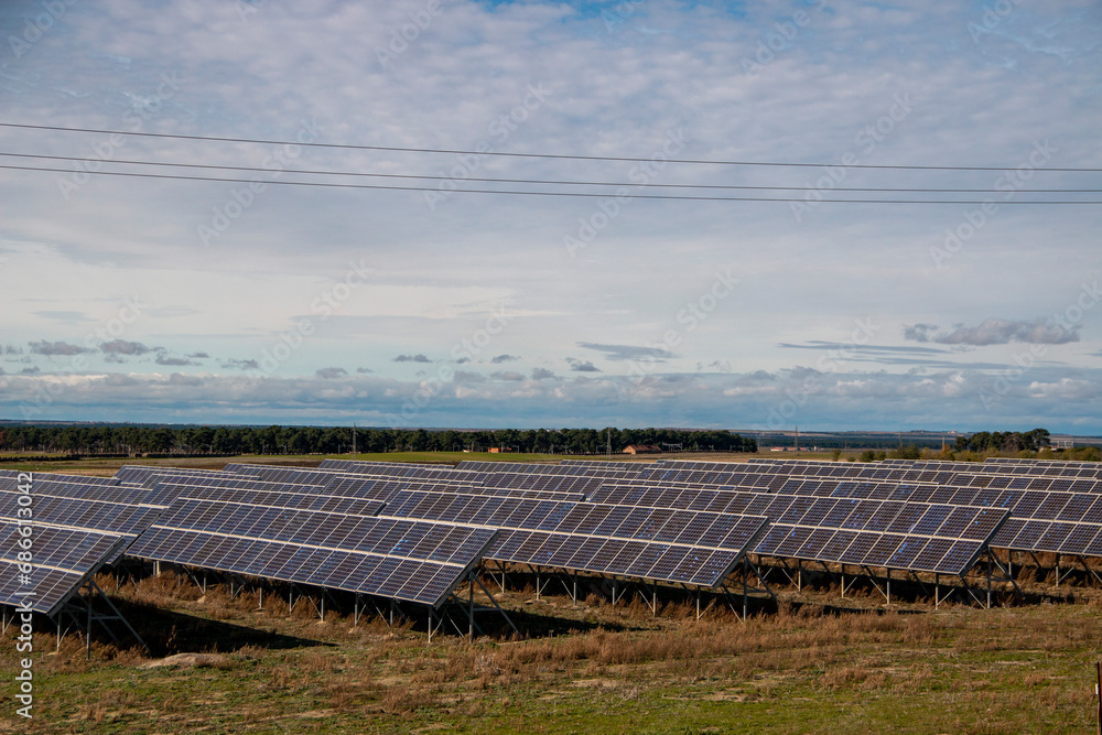 Solar panel farm on a sunny day producing clean electrical energy