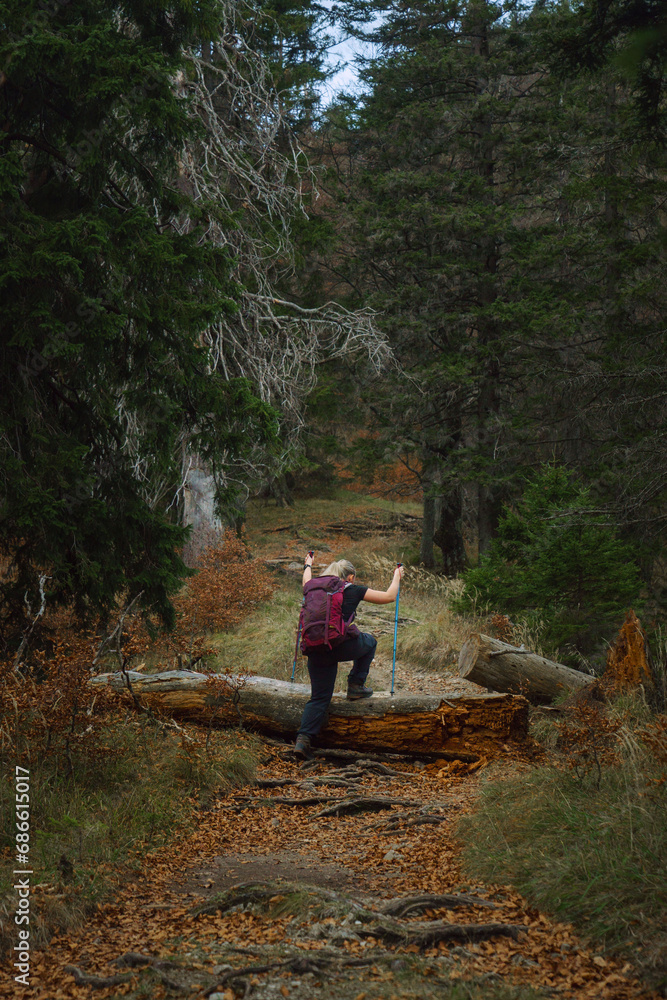 Eine Wanderin kletter über einen umgestürzten Baum Eine Wanderin kletter über einen umgestürzten Baum