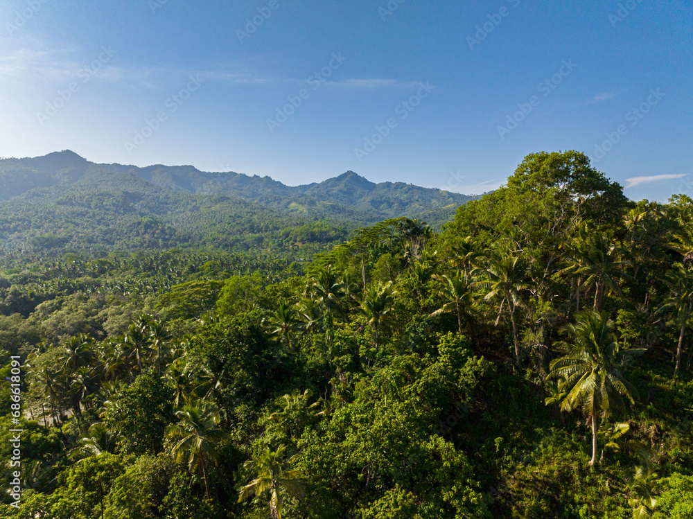 Fresh green foliage, tropical plants and trees covers mountains and ravine. Mindanao. Philippines. View from above.