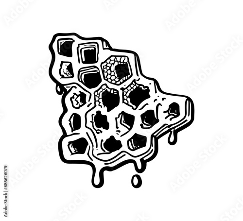 Honey hand draw vector graphic asset 