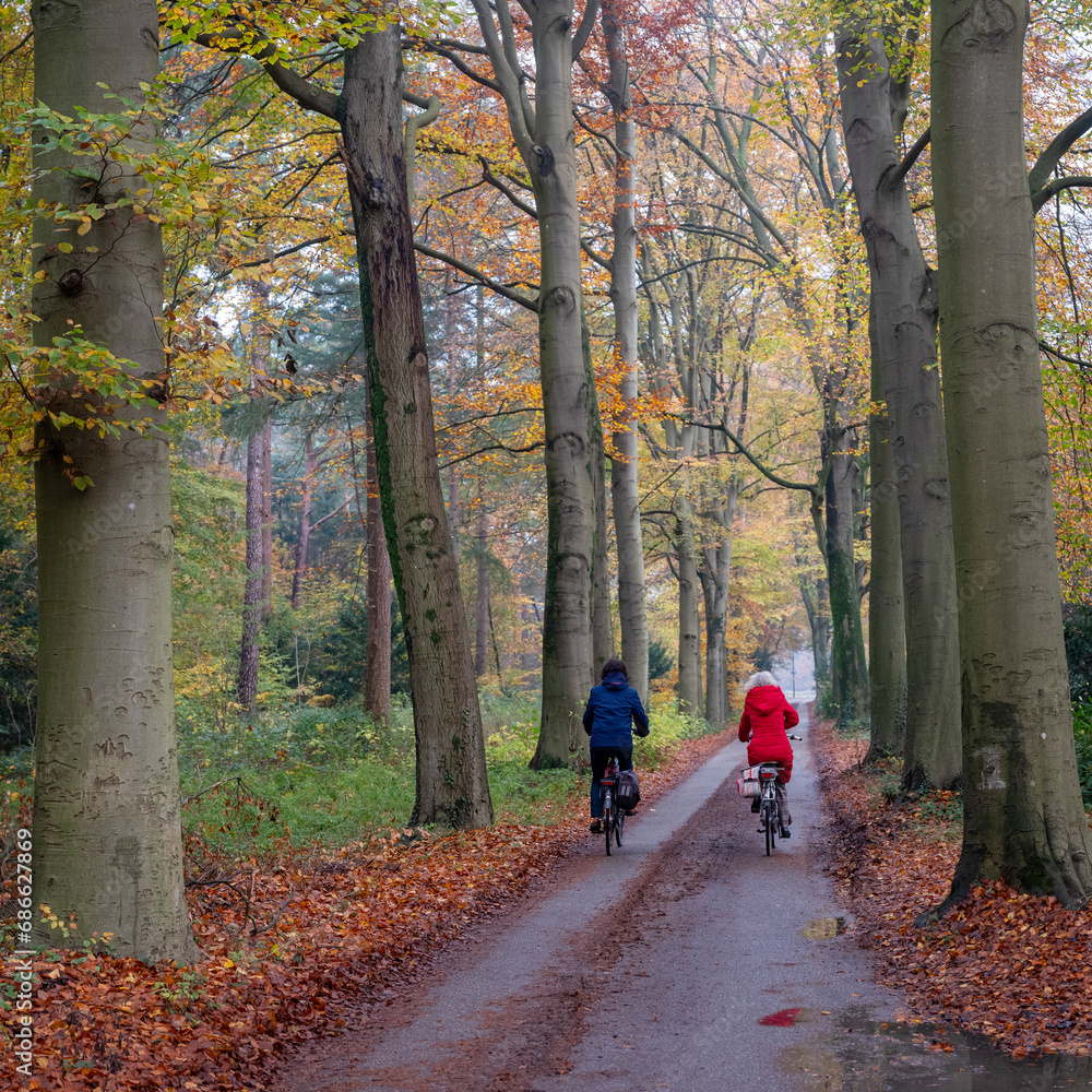 two women on bicycle in fall forest between colorful leaves