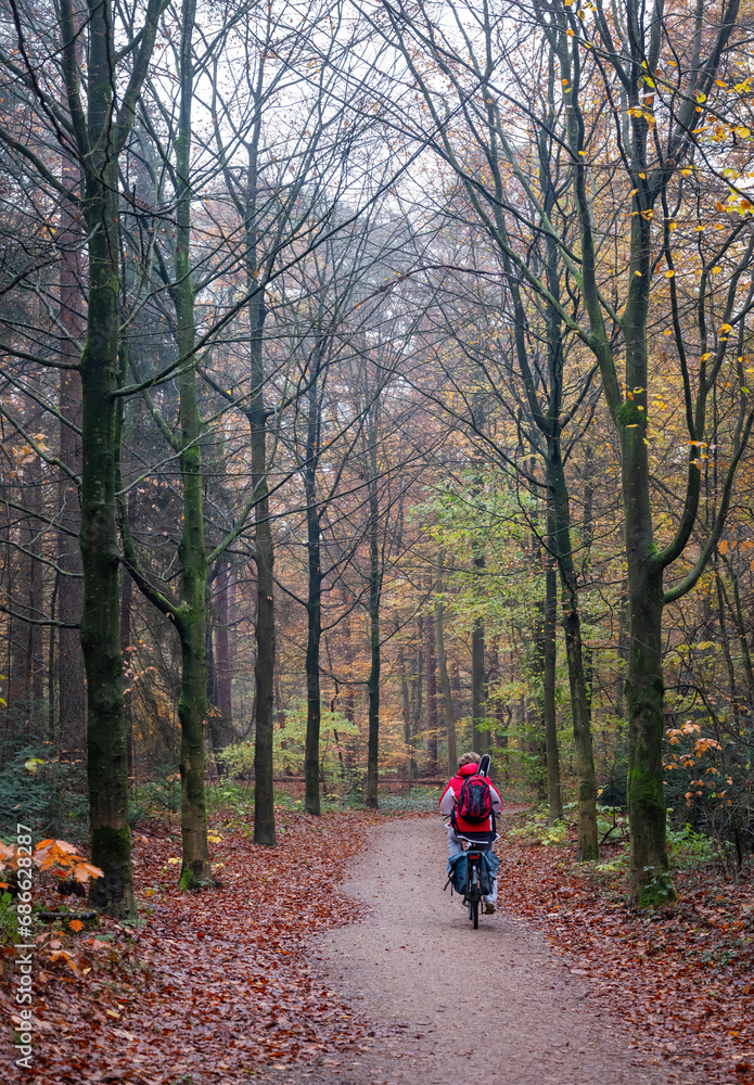 Obraz premium man on bicycle in fall forest between colorful leaves