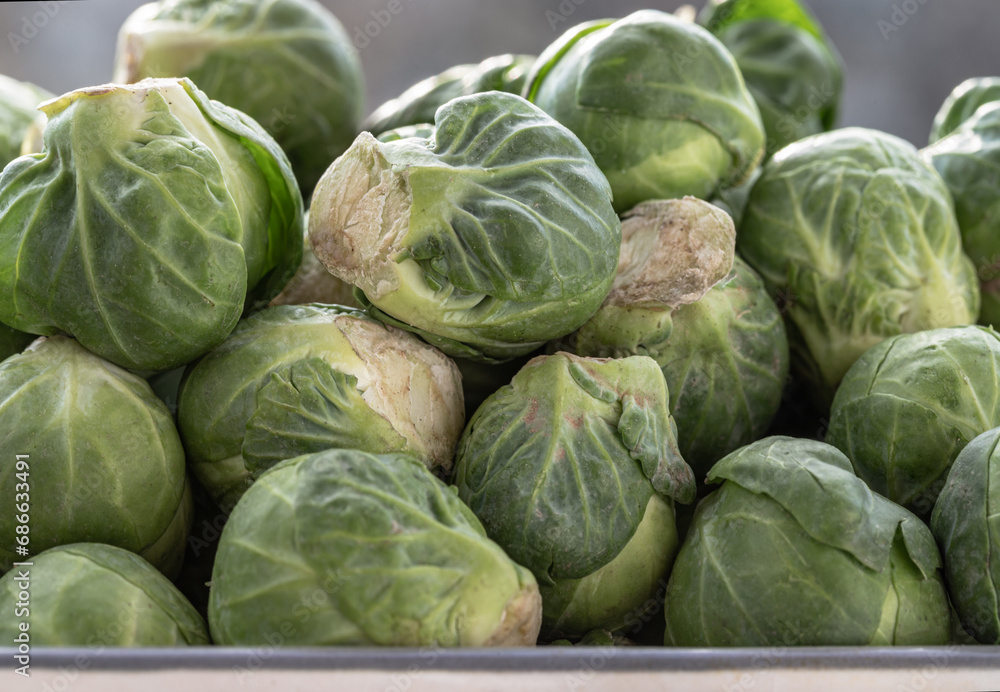 Close-up of Fresh raw organic Green brussel sprouts vegetable on Steel tray with Natural sunlight. Uncooked brussels sprouts, Space for text, Selective focus. Close-up of Fresh raw organic Green brussel sprouts vegetable on Steel tray with Natural sunlight. Uncooked brussels sprouts, Space for text, Selective focus.
