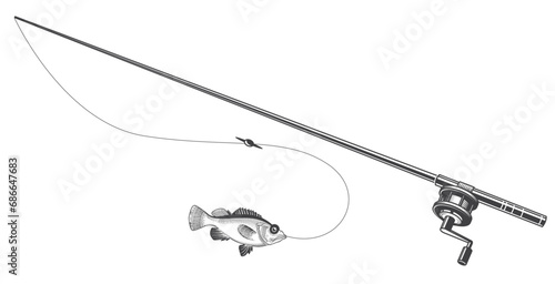 Fishing rod with reel, straight spinning and biting fish, fisher emblem, vector