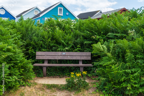  A wooden bench surrounded by bracken in front of beach huts on Mudeford Sandbank, Hengistbury Head, UK photo