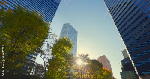 太陽の光が綺麗な西新宿高層ビル群 photo