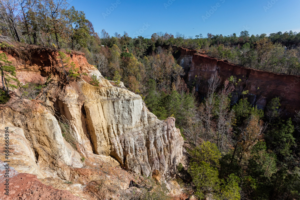 Eroding walls and trees in the Providence Canyon in rural Lumpkin, Georgia