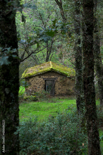 abandoned stone country house in the middle of the forest vertically in autumn © MiguelA