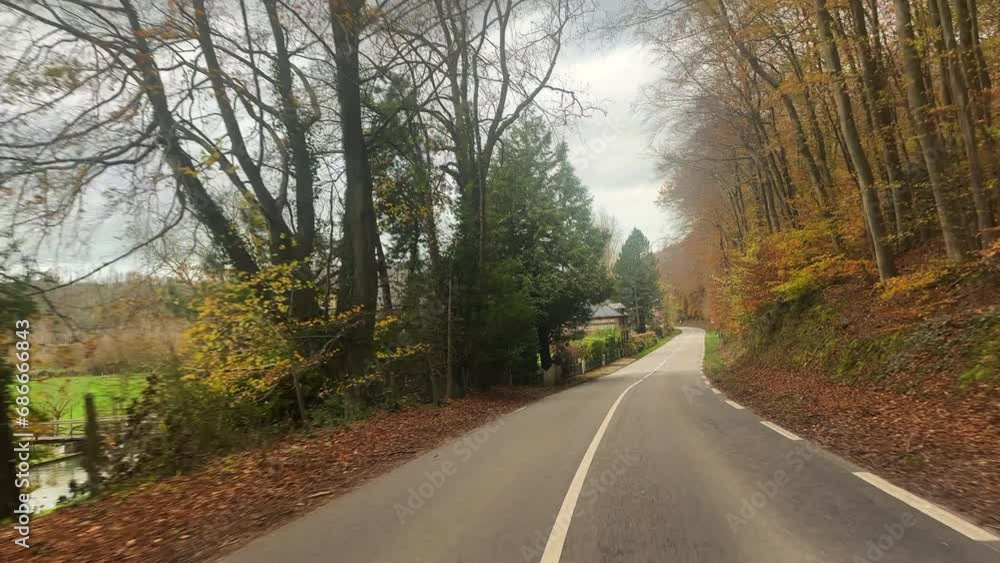 Driving empty asphalt road with white markings passing through a colourful leafy Autumn forest trees, tiny villages in Normandy, France. Nature landscape with yellow foliage on a sunny autumn day 4k Driving empty asphalt road with white markings passing through a colourful leafy Autumn forest trees, tiny villages in Normandy, France. Nature landscape with yellow foliage on a sunny autumn day 4k
