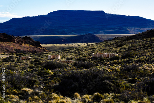 Avisaje de fauna y paisajes de la Patagonia Argentina