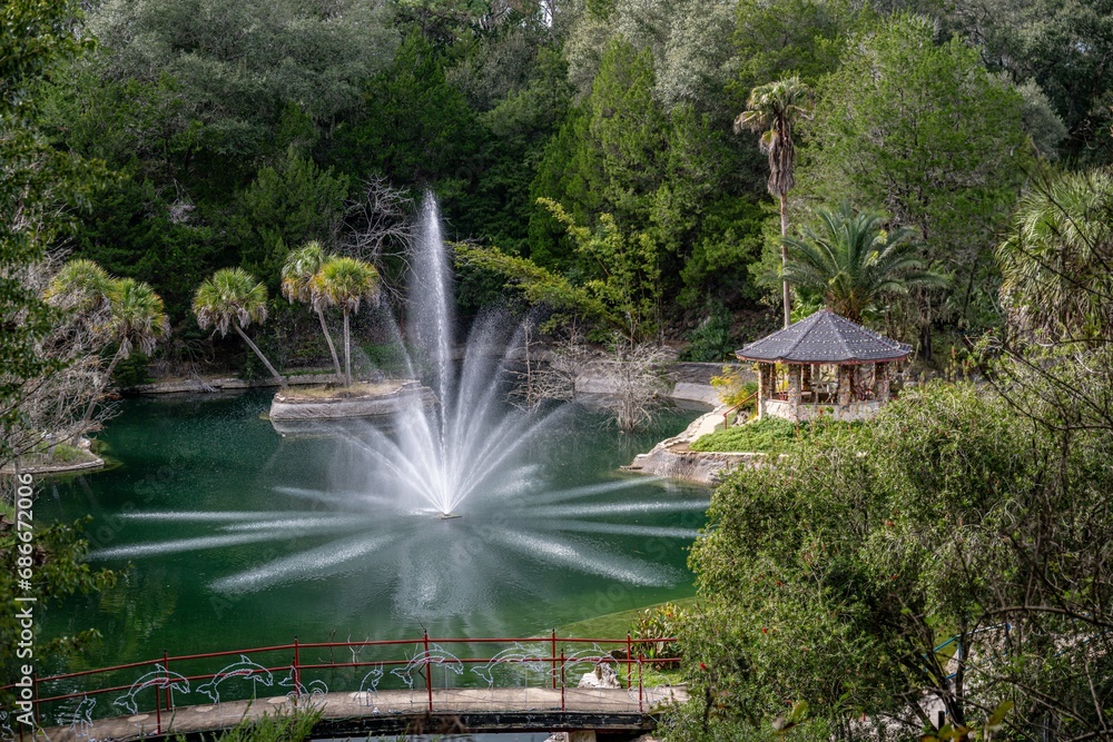 Fototapeta premium natural florida